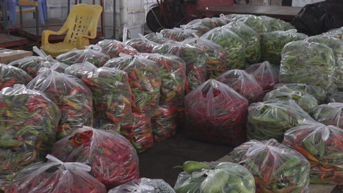 福州全力保供应，拎稳市民“菜篮子”