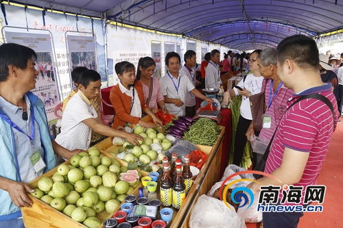 消费扶贫赋能乡村振兴 定安农副产品展销会销售额突破127万元
