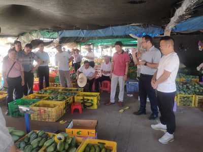 桂平市供销合作社赴田阳区考察学习 探索农副产品销售新路径