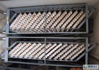 物美价廉，品质无忧 来自世界工厂网的优良柴鸡蛋