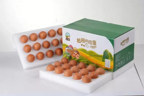 福建泉港优质农副产品热销中，欢迎选购